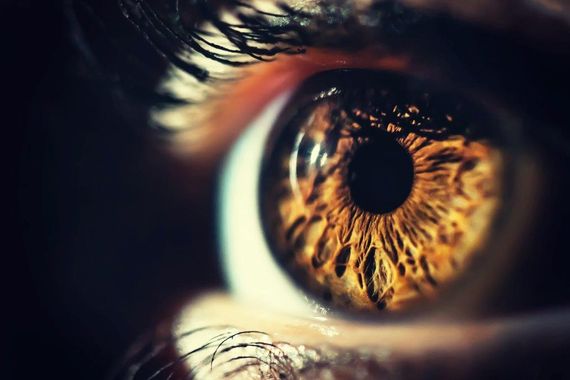 Visual Stress